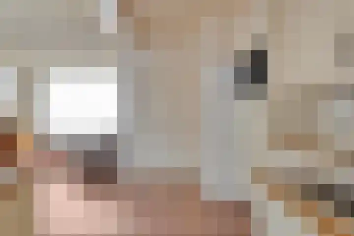 Frans Jansenstraat 2 Luyksgestel thumbnail 10