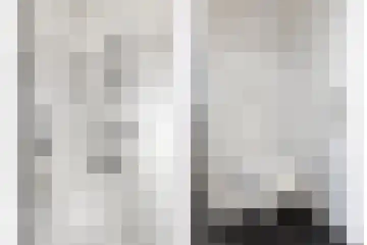 Frans Jansenstraat 2 Luyksgestel thumbnail 20