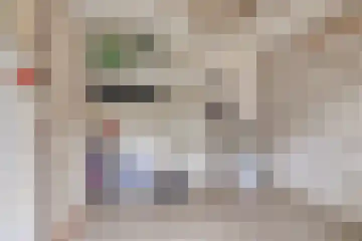Frans Jansenstraat 2 Luyksgestel thumbnail 21