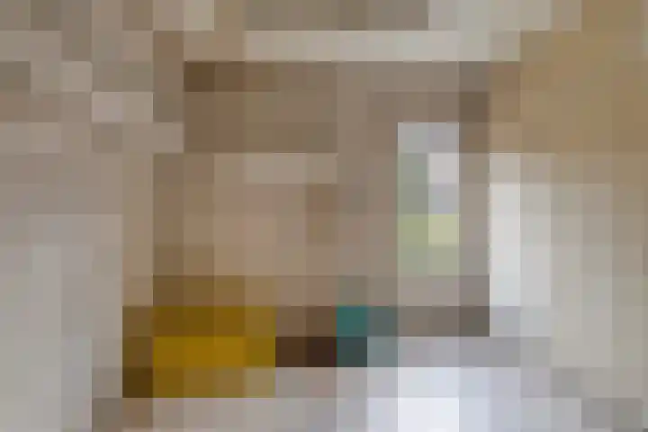 Frans Jansenstraat 2 Luyksgestel thumbnail 22