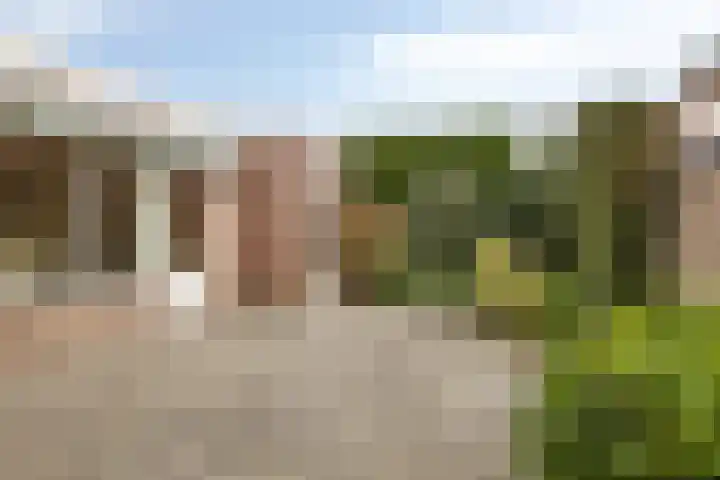Frans Jansenstraat 2 Luyksgestel thumbnail 23