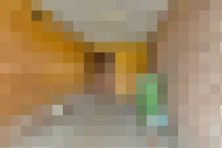 Frans Jansenstraat 2 Luyksgestel thumbnail 25