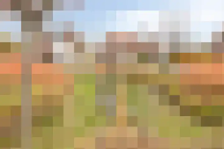 Frans Jansenstraat 2 Luyksgestel thumbnail 27