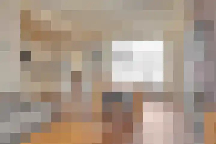 Frans Jansenstraat 2 Luyksgestel thumbnail 5