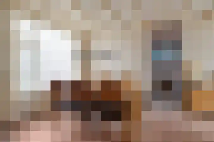 Frans Jansenstraat 2 Luyksgestel thumbnail 6