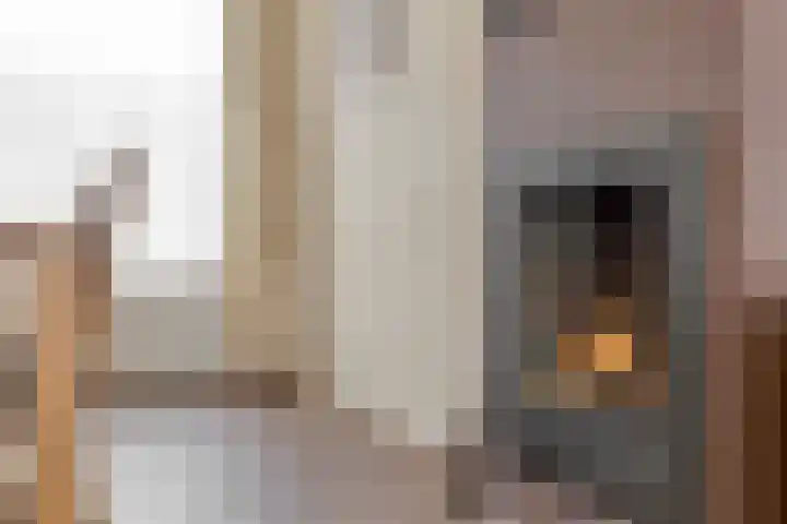 Frans Jansenstraat 2 Luyksgestel thumbnail 7