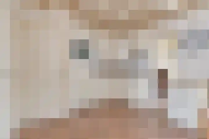 Frans Jansenstraat 2 Luyksgestel thumbnail 8