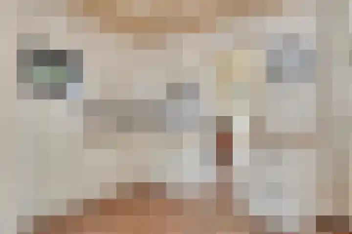 Frans Jansenstraat 2 Luyksgestel thumbnail 9