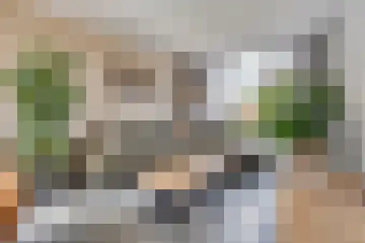 Frans Jansenstraat 5 Luyksgestel thumbnail 11