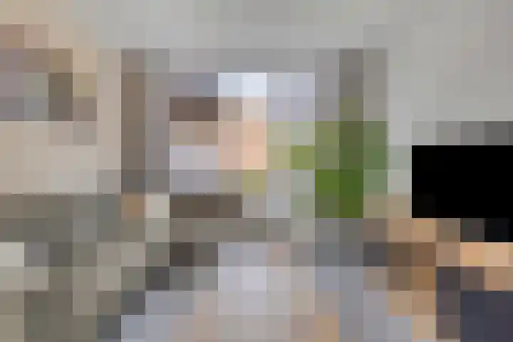 Frans Jansenstraat 5 Luyksgestel thumbnail 12