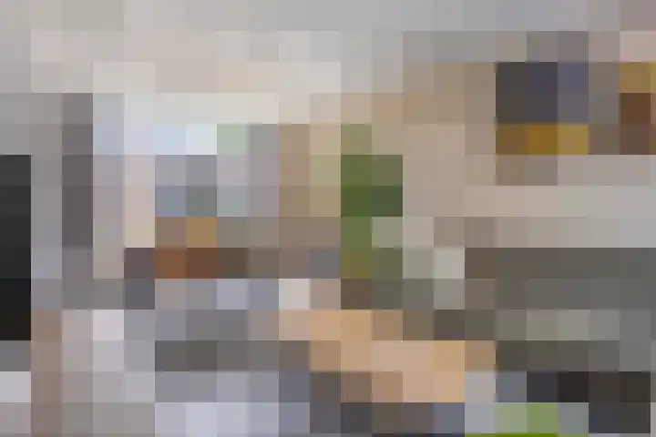 Frans Jansenstraat 5 Luyksgestel thumbnail 13