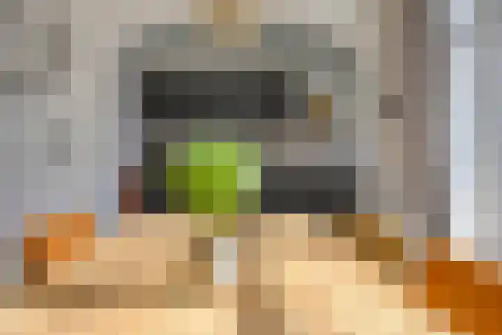 Frans Jansenstraat 5 Luyksgestel thumbnail 19