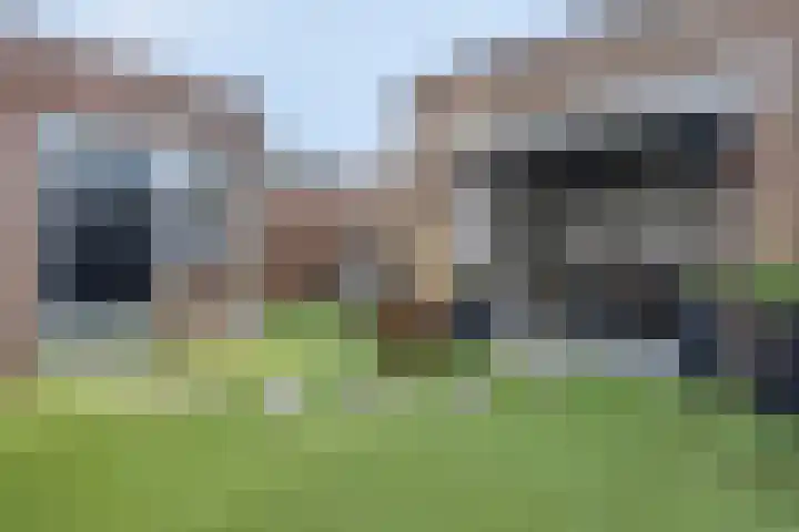 Frans Jansenstraat 5 Luyksgestel thumbnail 20