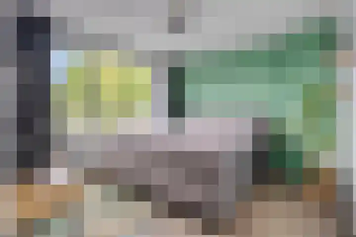 Frans Jansenstraat 5 Luyksgestel thumbnail 24