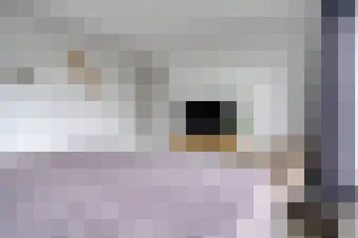 Frans Jansenstraat 5 Luyksgestel thumbnail 25