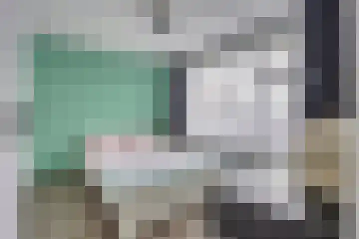 Frans Jansenstraat 5 Luyksgestel thumbnail 26
