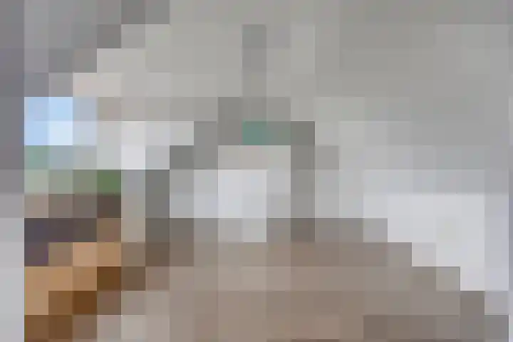 Frans Jansenstraat 5 Luyksgestel thumbnail 31