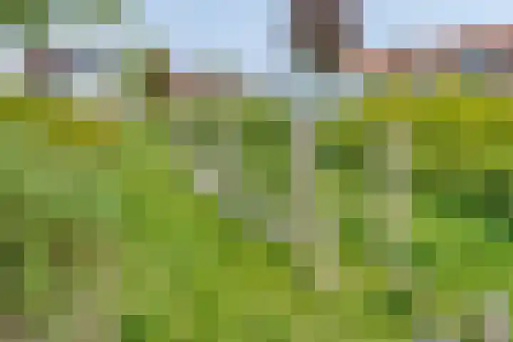 Frans Jansenstraat 5 Luyksgestel thumbnail 38