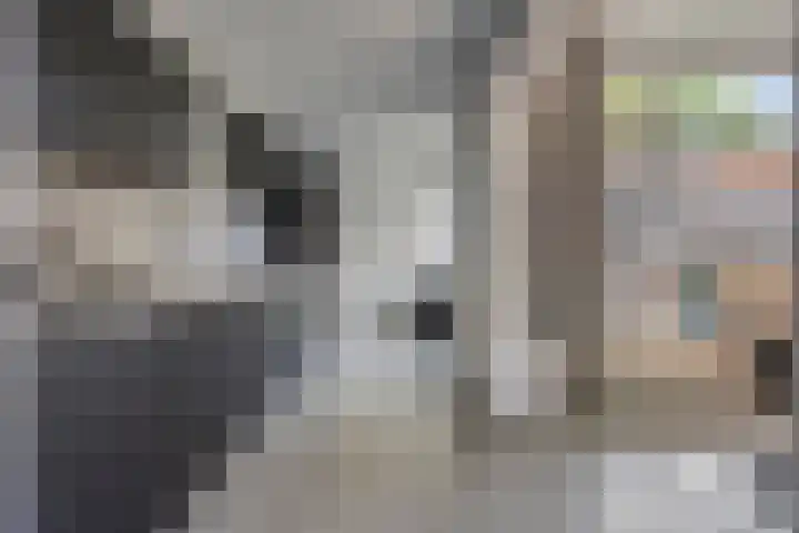 Frans Jansenstraat 5 Luyksgestel thumbnail 9