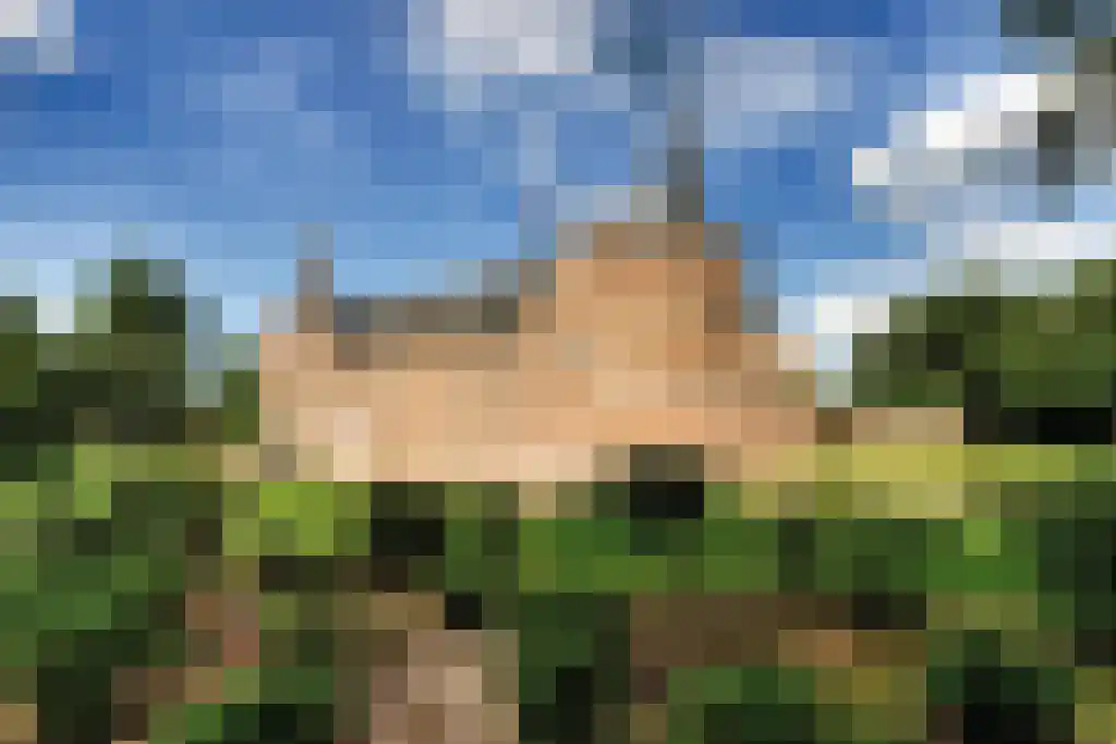 Frans Joseph van Thielpark 136 Helmond thumbnail 34