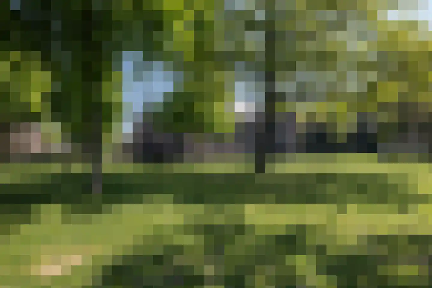 Frans Joseph van Thielpark 171 Helmond thumbnail 55