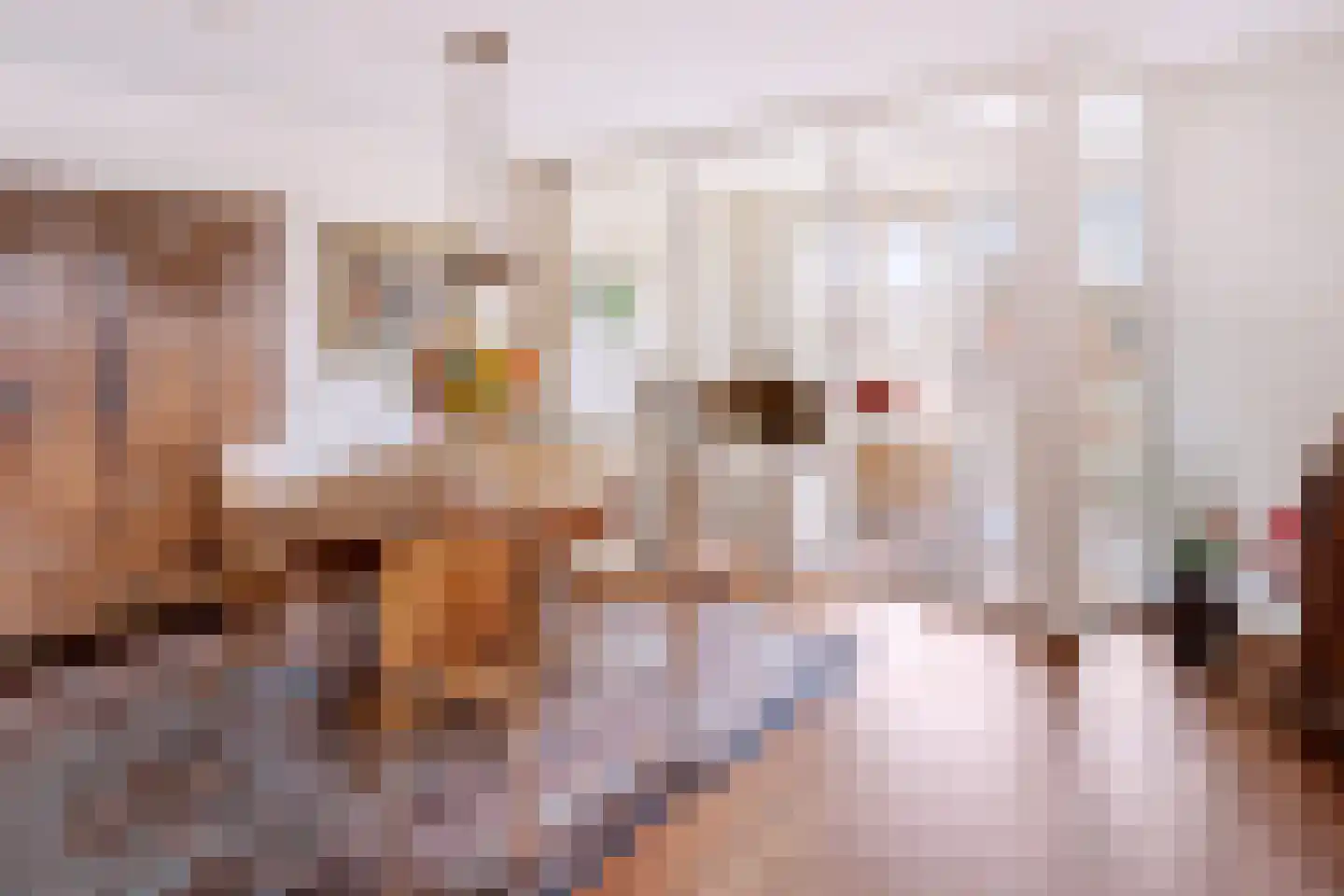 Frans Joseph van Thielpark 177 Helmond thumbnail 16
