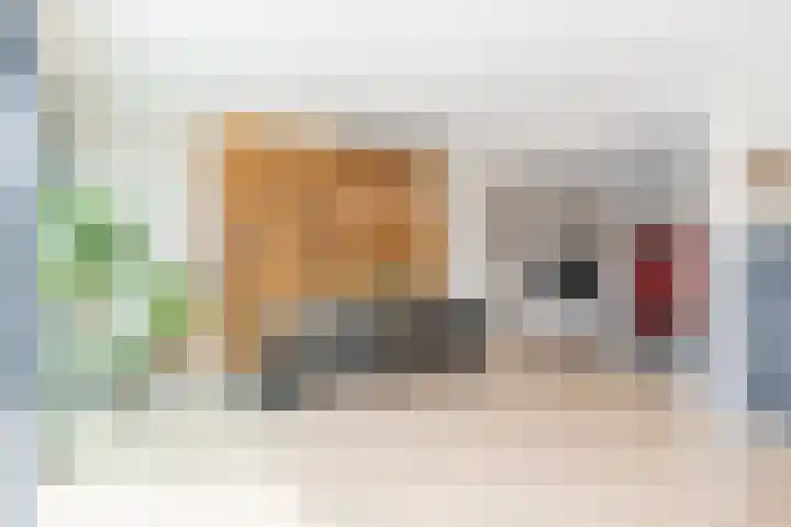 Frans Knaapenstraat 10 Geldrop thumbnail 10