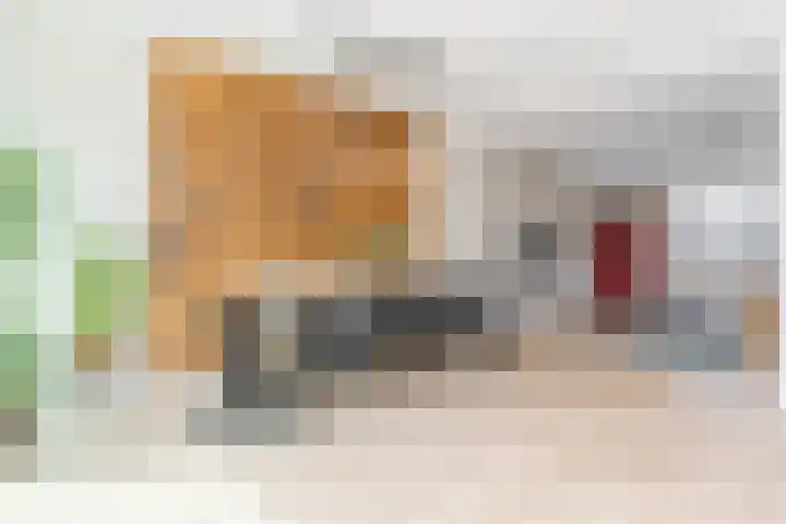 Frans Knaapenstraat 10 Geldrop thumbnail 11