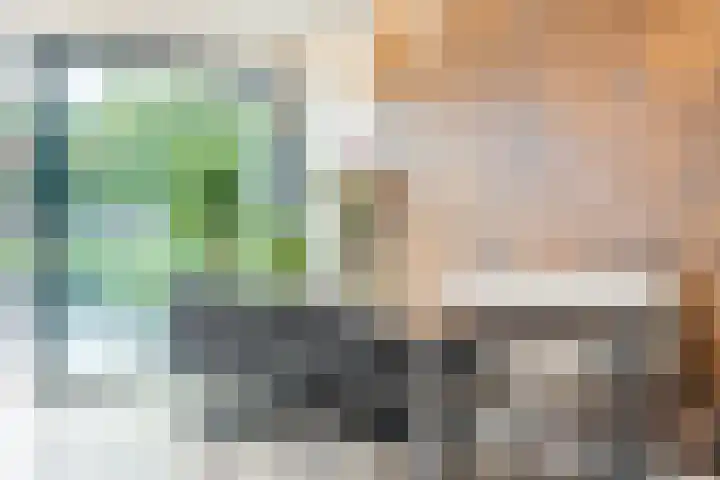 Frans Knaapenstraat 10 Geldrop thumbnail 12