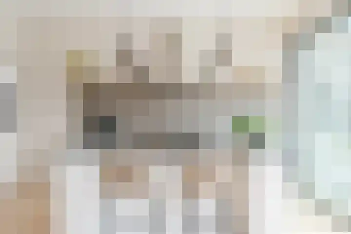 Frans Knaapenstraat 10 Geldrop thumbnail 19