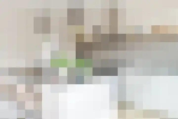 Frans Knaapenstraat 10 Geldrop thumbnail 21