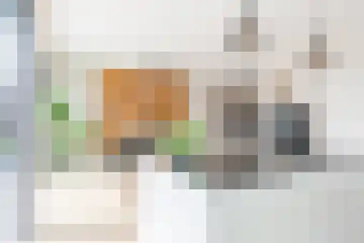 Frans Knaapenstraat 10 Geldrop thumbnail 23