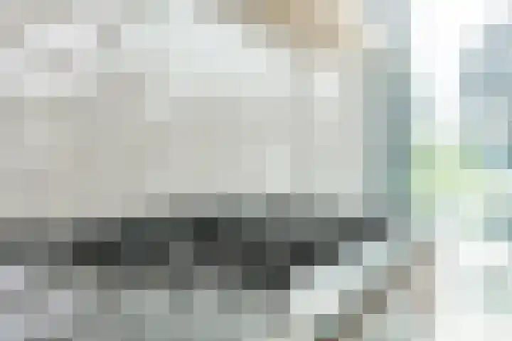 Frans Knaapenstraat 10 Geldrop thumbnail 25