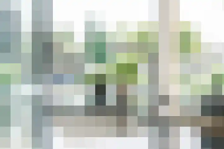 Frans Knaapenstraat 10 Geldrop thumbnail 26