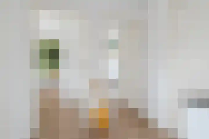 Frans Knaapenstraat 10 Geldrop thumbnail 33