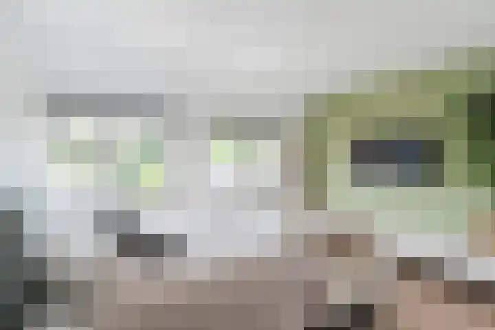 Frans Knaapenstraat 10 Geldrop thumbnail 34