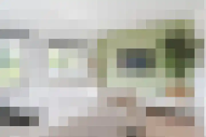 Frans Knaapenstraat 10 Geldrop thumbnail 35