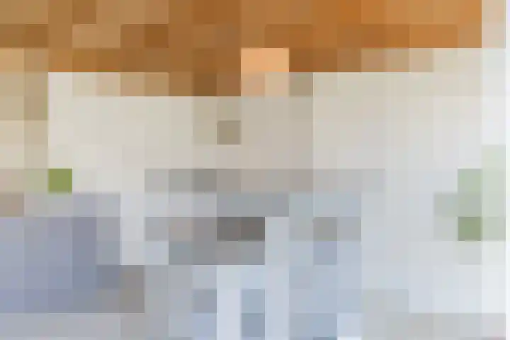 Frans Knaapenstraat 10 Geldrop thumbnail 50