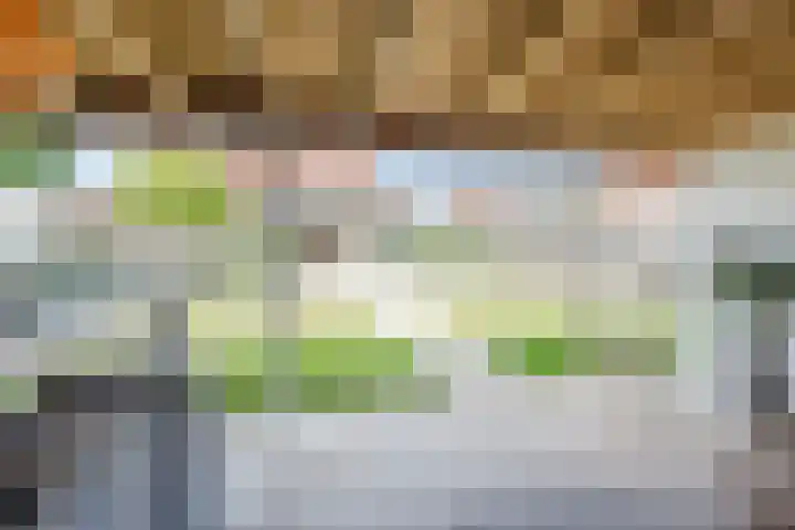 Frans Knaapenstraat 10 Geldrop thumbnail 52