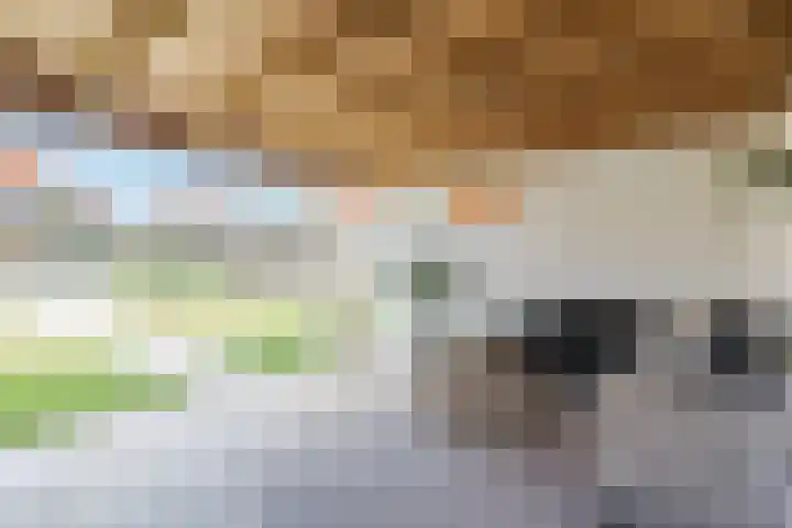 Frans Knaapenstraat 10 Geldrop thumbnail 53