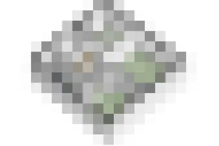 Frans Knaapenstraat 10 Geldrop thumbnail 62