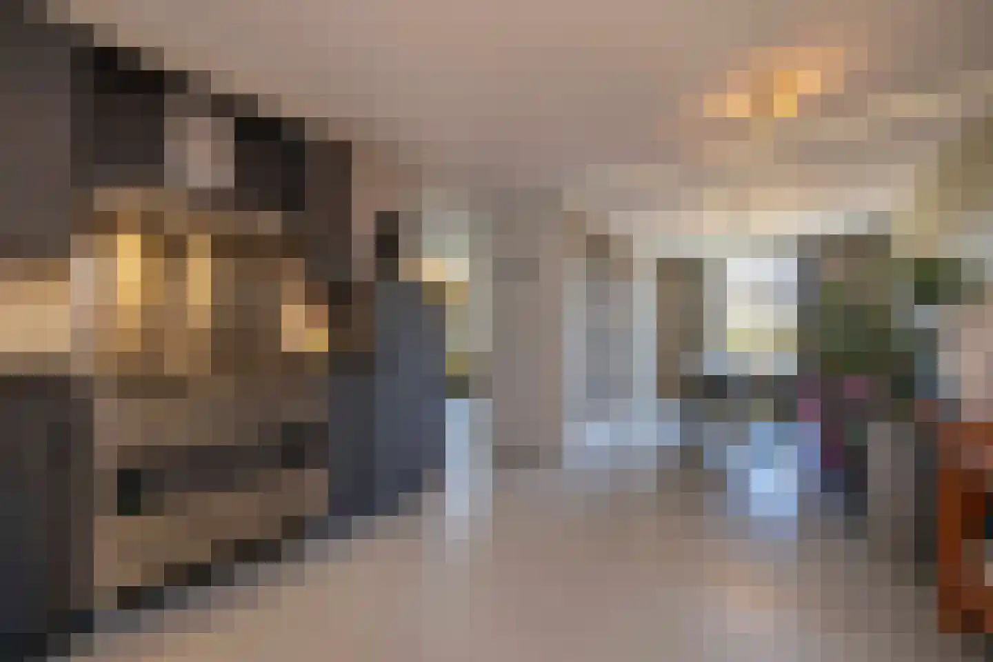 Frans Kuypersstraat 4 Haaren thumbnail 13