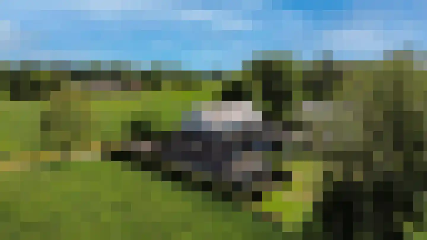 Frans Kuypersstraat 4 Haaren thumbnail 45