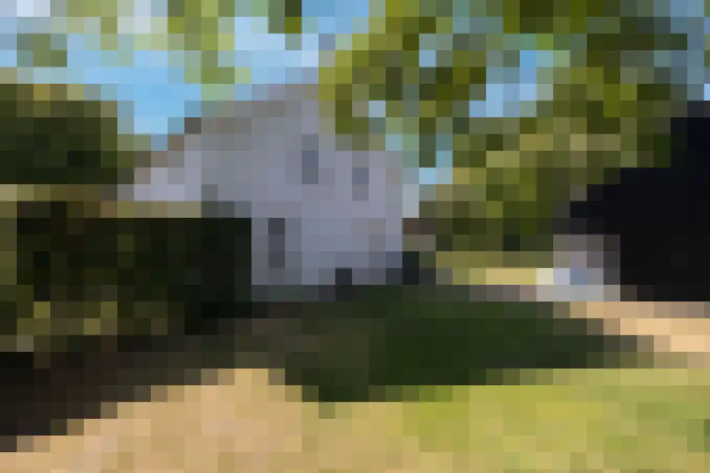 Frans Kuypersstraat 4 Haaren thumbnail 46