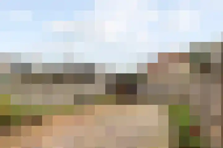 Frans L. Blomlaan 71 Leerdam thumbnail 40