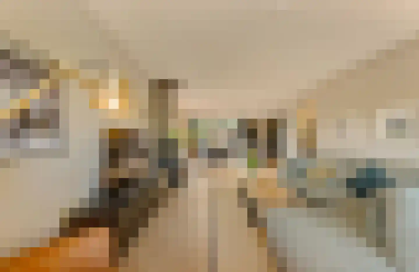 Frans Langeveldlaan 16 Laren thumbnail 13