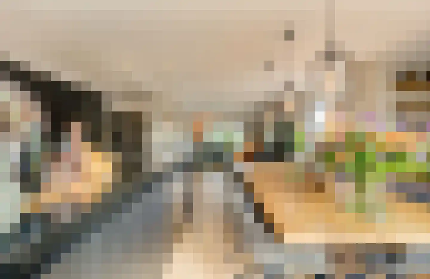 Frans Langeveldlaan 16 Laren thumbnail 18