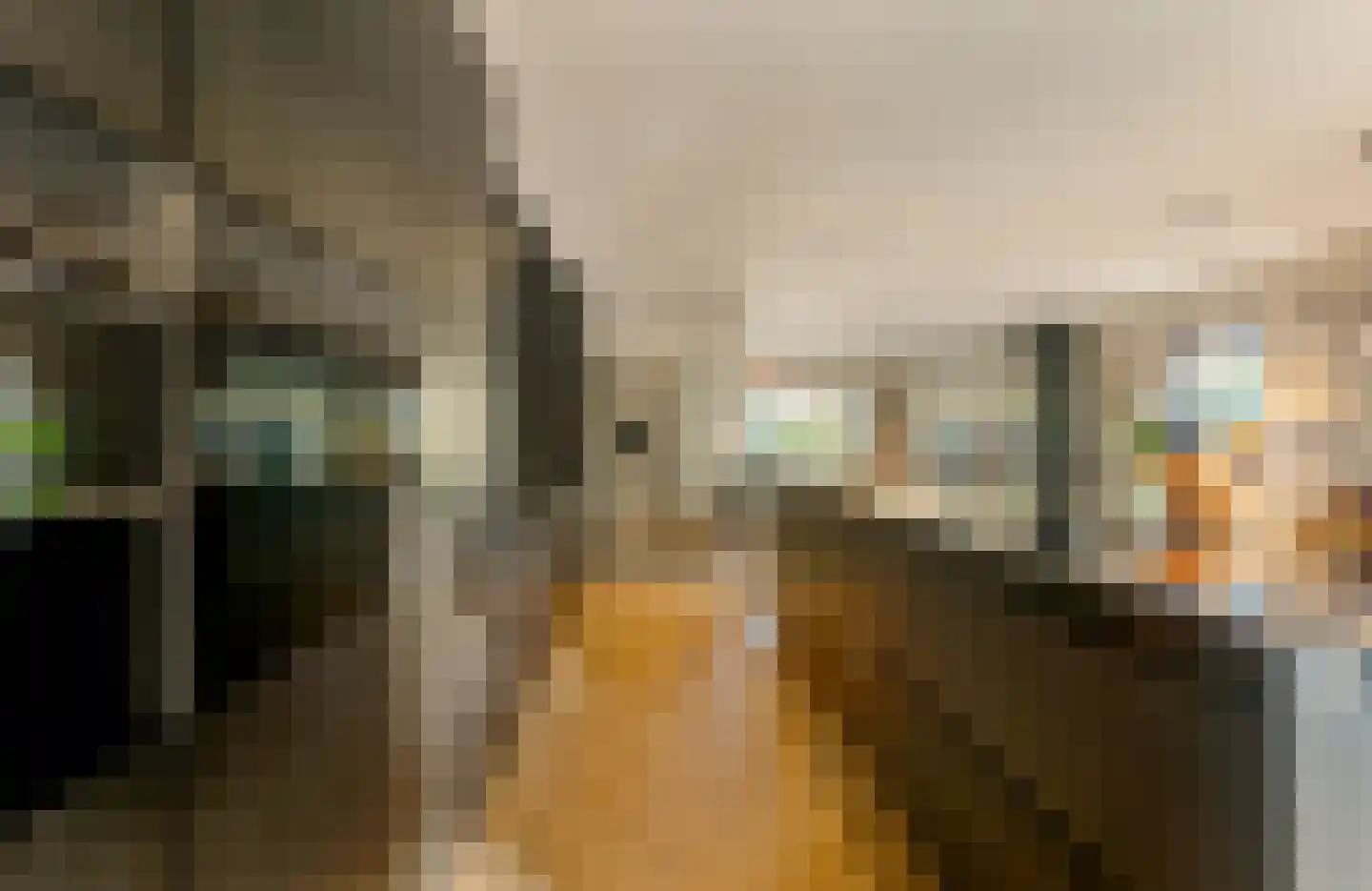Frans Langeveldlaan 16 Laren thumbnail 19
