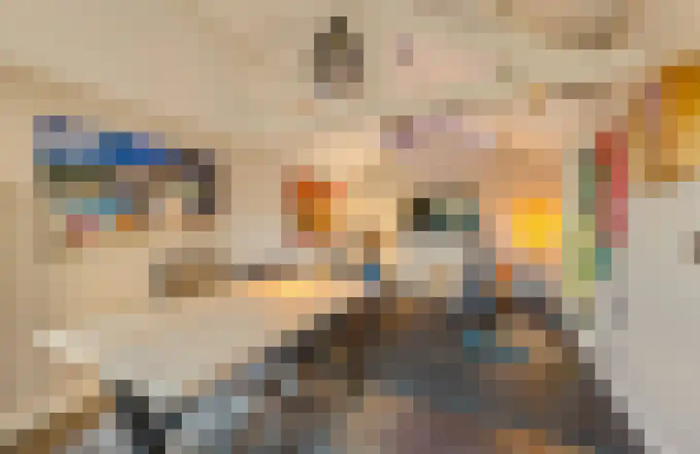 Frans Langeveldlaan 16 Laren thumbnail 24