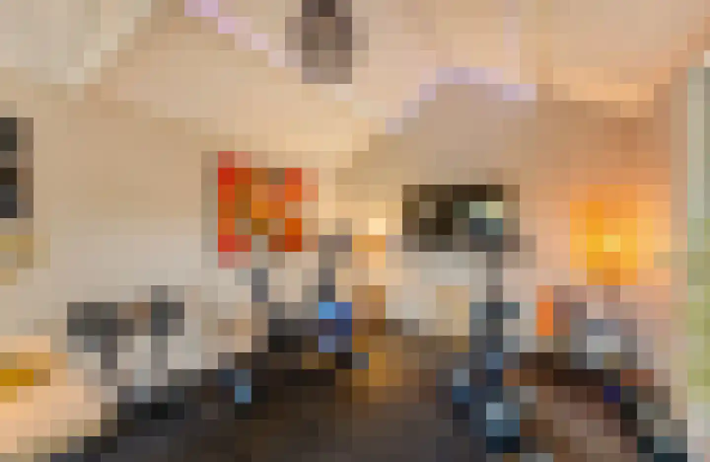 Frans Langeveldlaan 16 Laren thumbnail 26